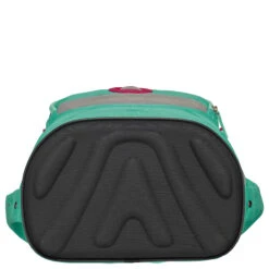 DerDieDas ErgoFlex Easy - Schulranzen Set 5tlg. 950 G -Taschen Discounter DerDieDas ErgoFlex Easy Schulranzen Set 5tlg 950 g Peppermint Pony 8509152 5