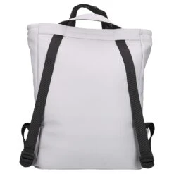 Zwei Cargo CAR140 - Rucksack 38 Cm -Taschen Discounter zwei Cargo Rucksack CAR140 38 cm ice CAR140ICE 4